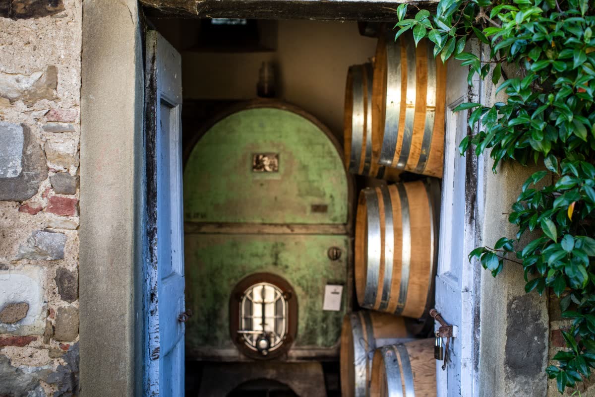 Degustazione guidata al banco dell'enoteca