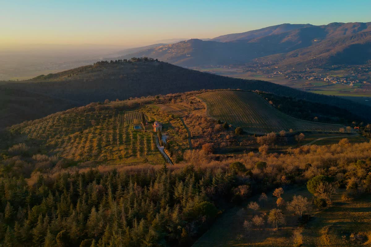 Camminata tra le vigne