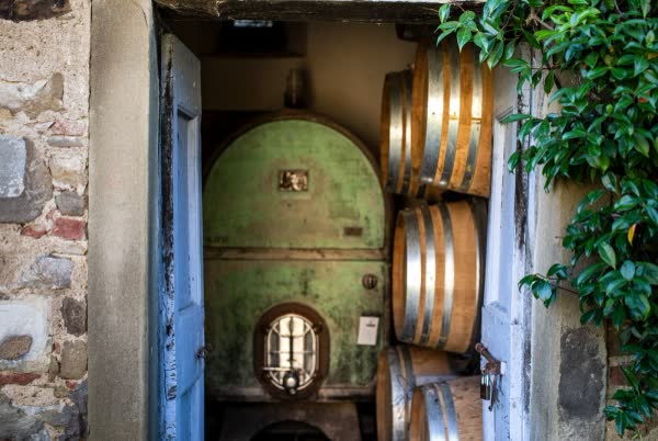 Wine tour tra le cantine della Valdichiana