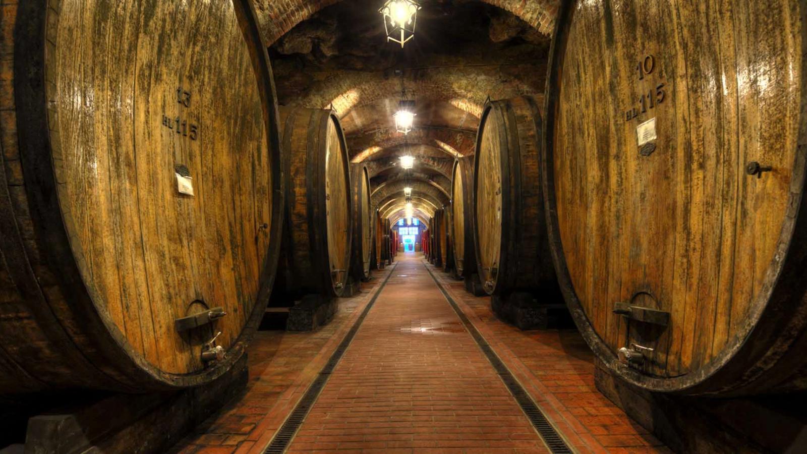 Il corridoio delle botti grandi lungo la galleria a volta di una cantina