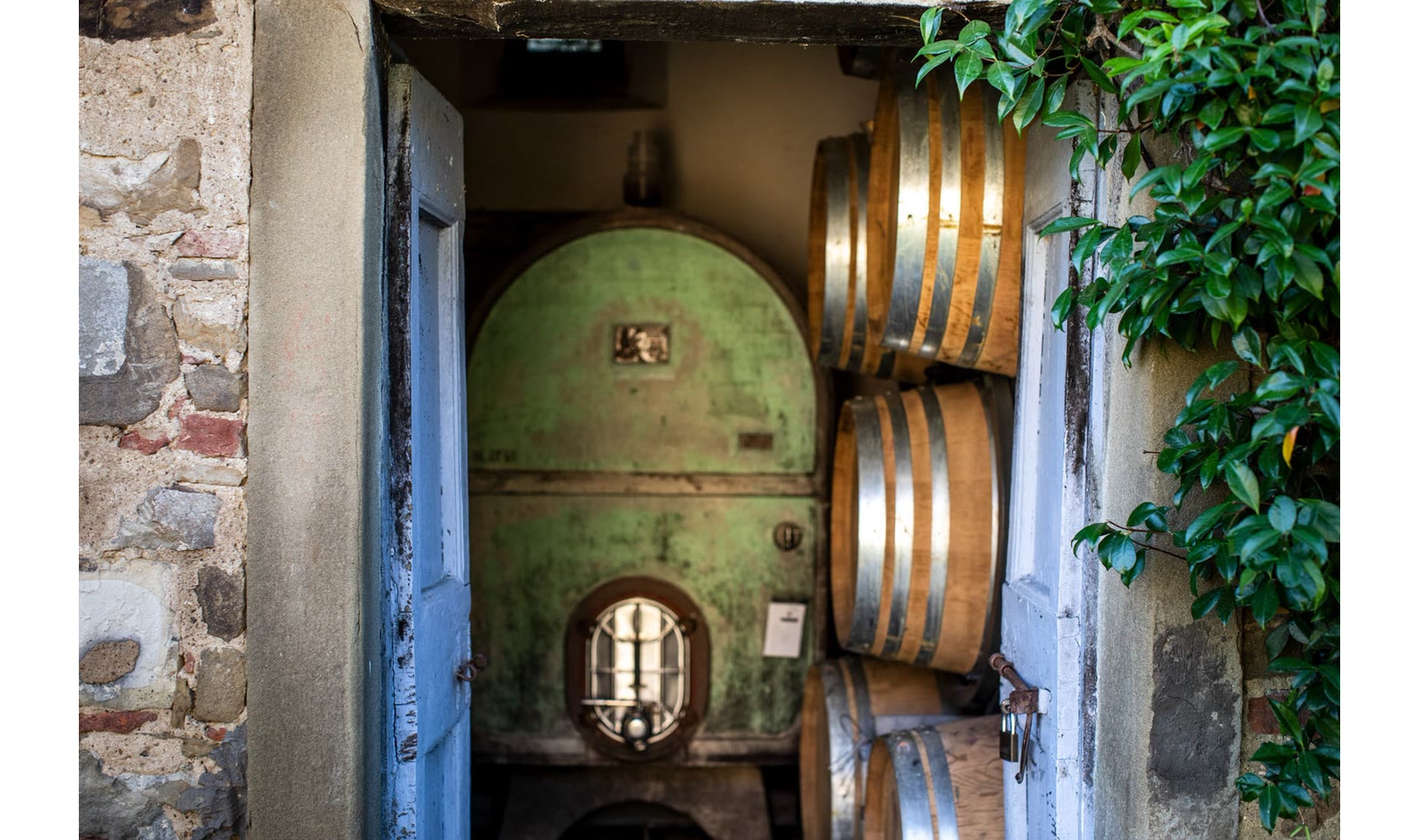 La porta verde della cantina con le botti in fila lungo il muro