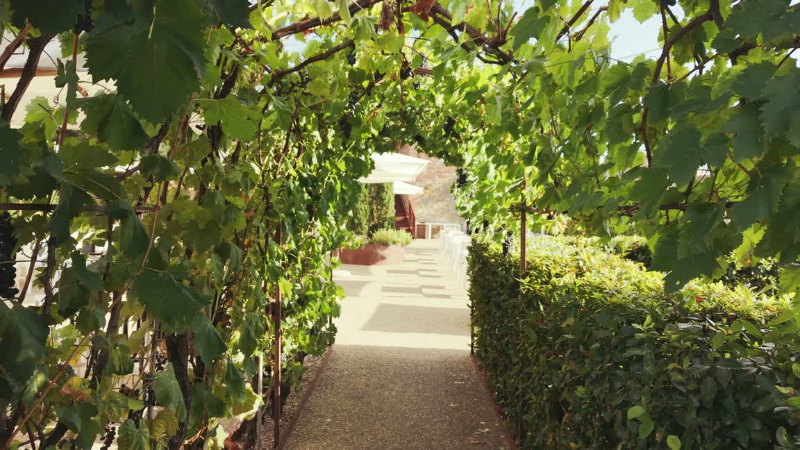 L&rsquo;ingresso del casale, sotto il pergolato di viti
